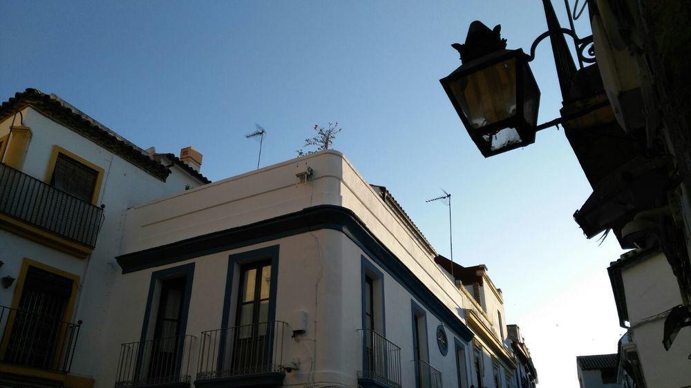 קורדובה Hostal Azahar מראה חיצוני תמונה